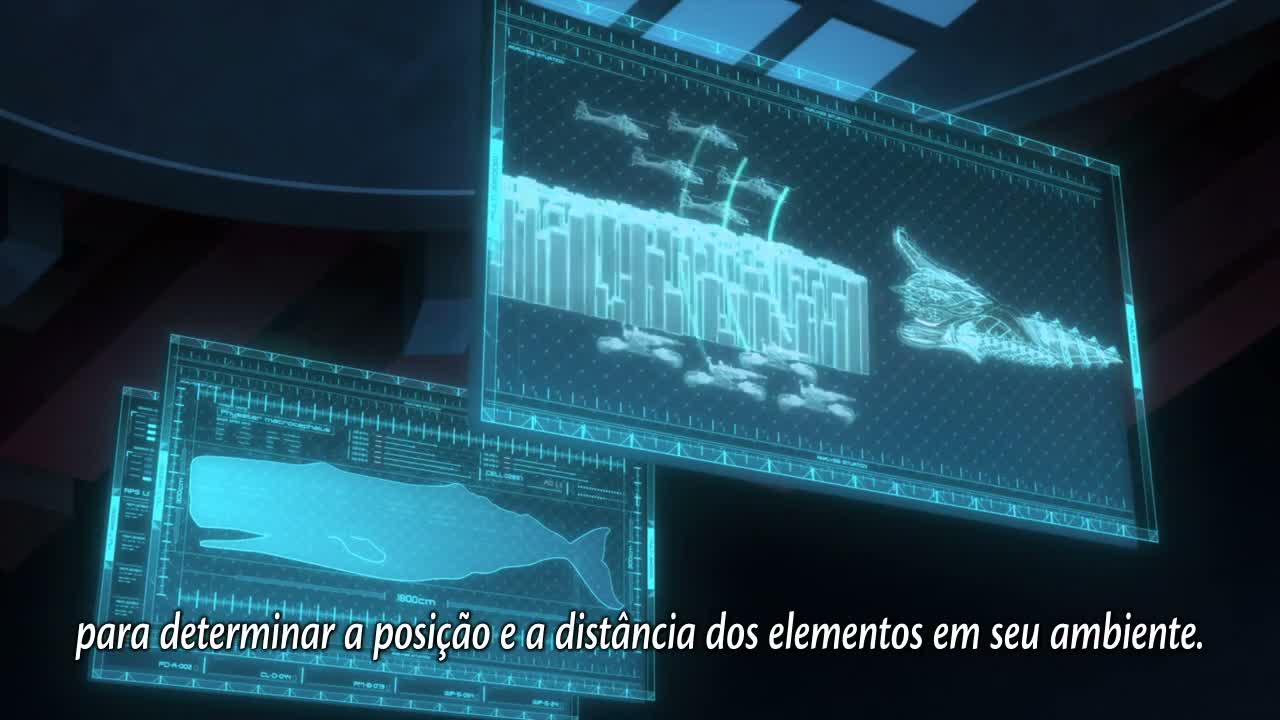 Episódio 004