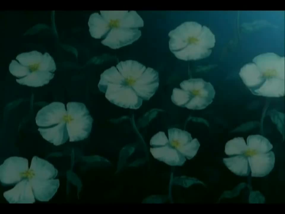 Episódio 004