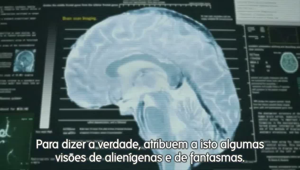 Episódio 007
