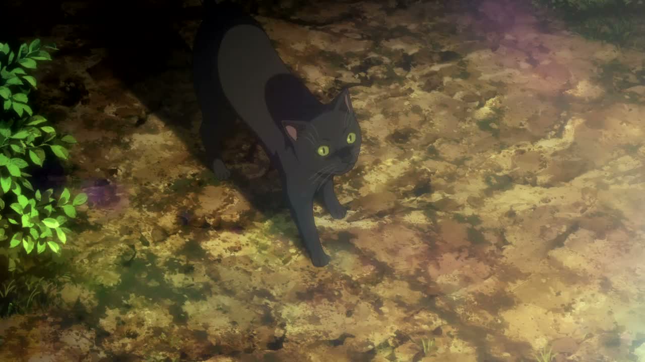 Episódio 002