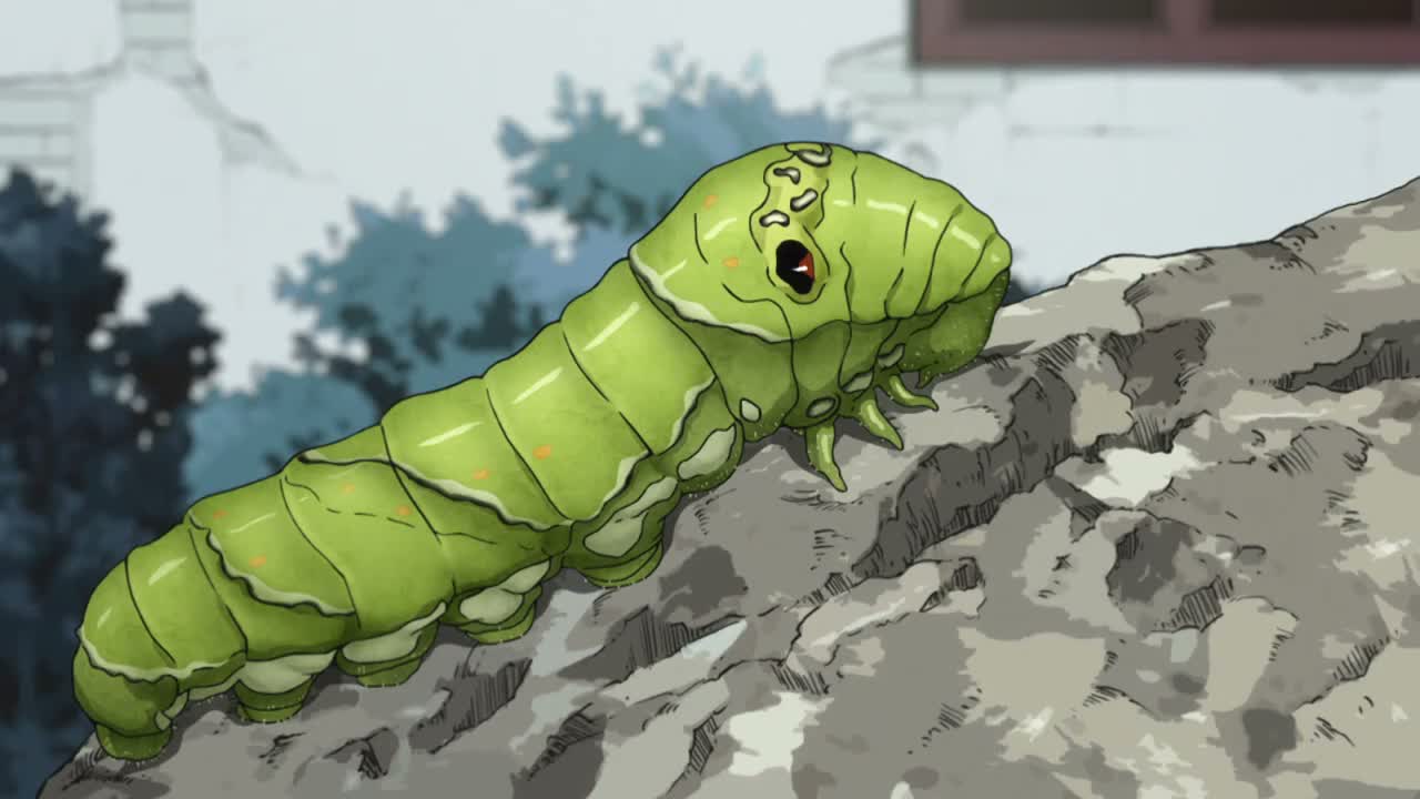 Episódio 003