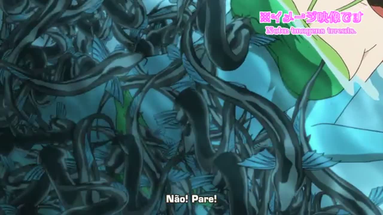 Episódio 005