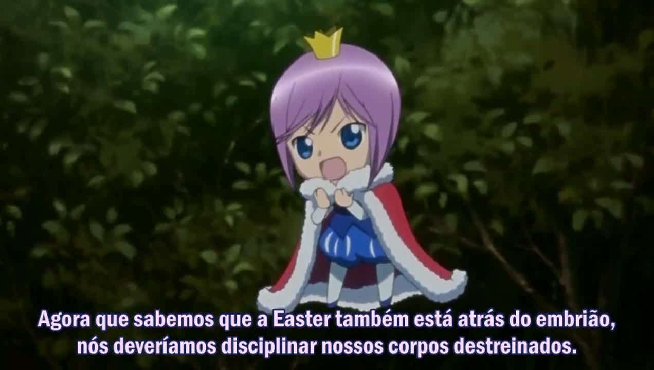 Episódio 013