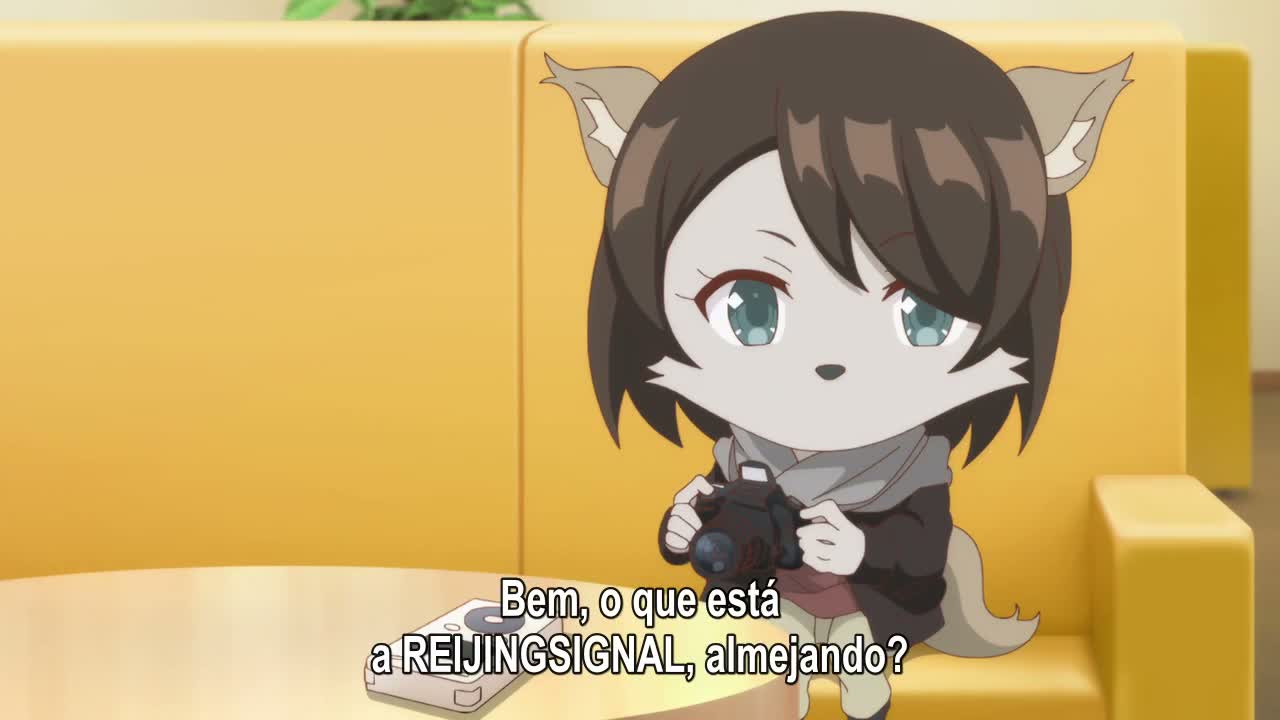 Episódio 005