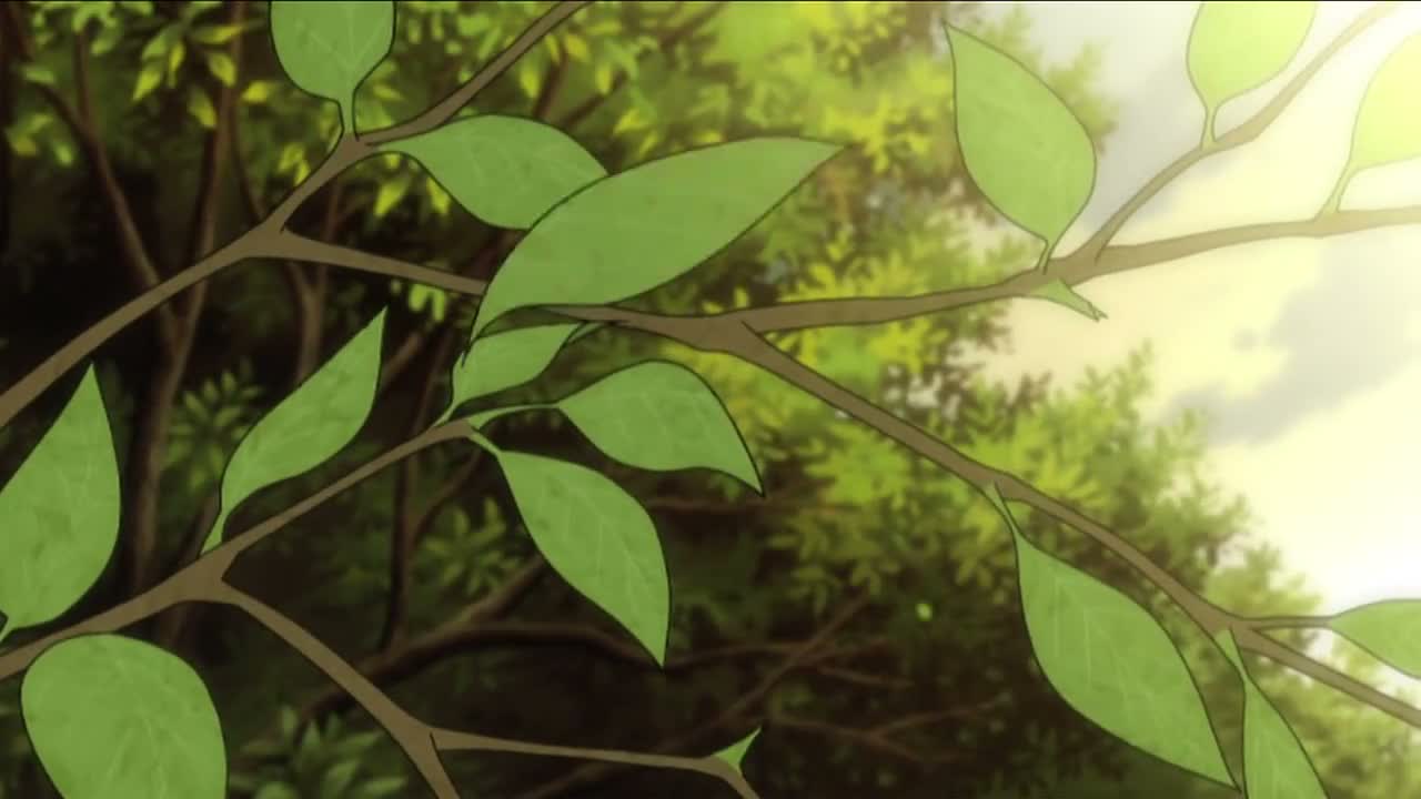 Episódio 006