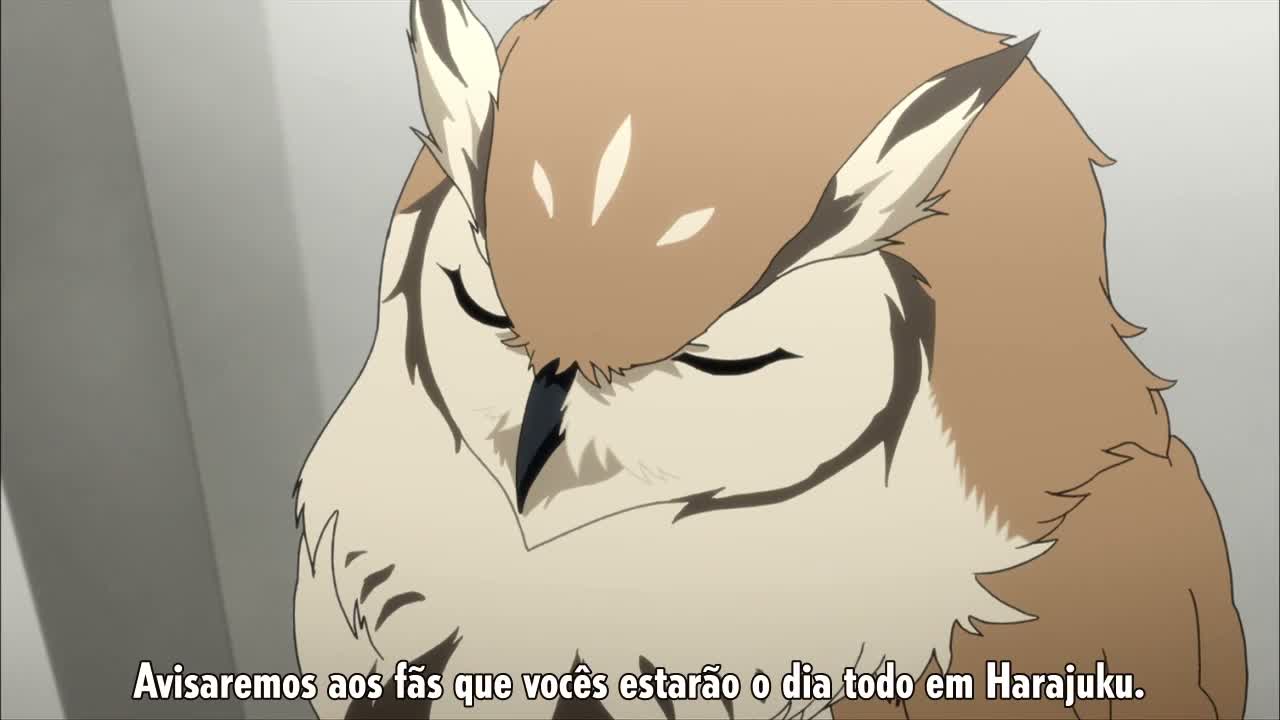 Episódio 003
