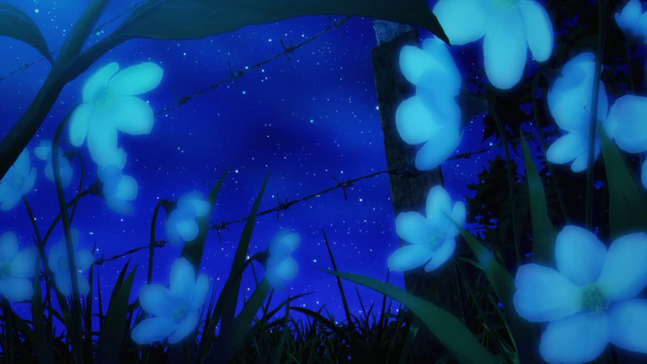 Episódio 003