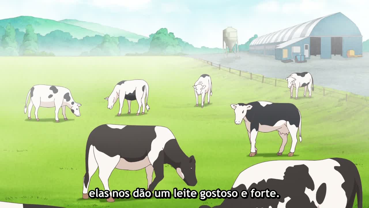 Episódio 006
