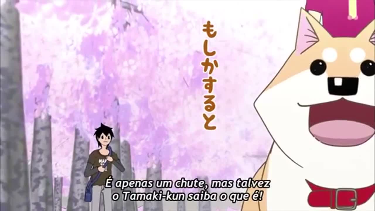 Episódio 025