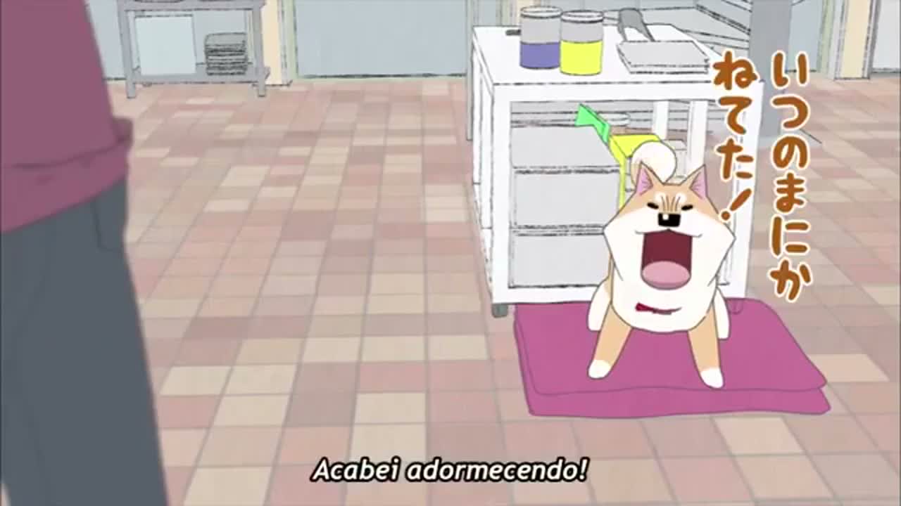 Episódio 020