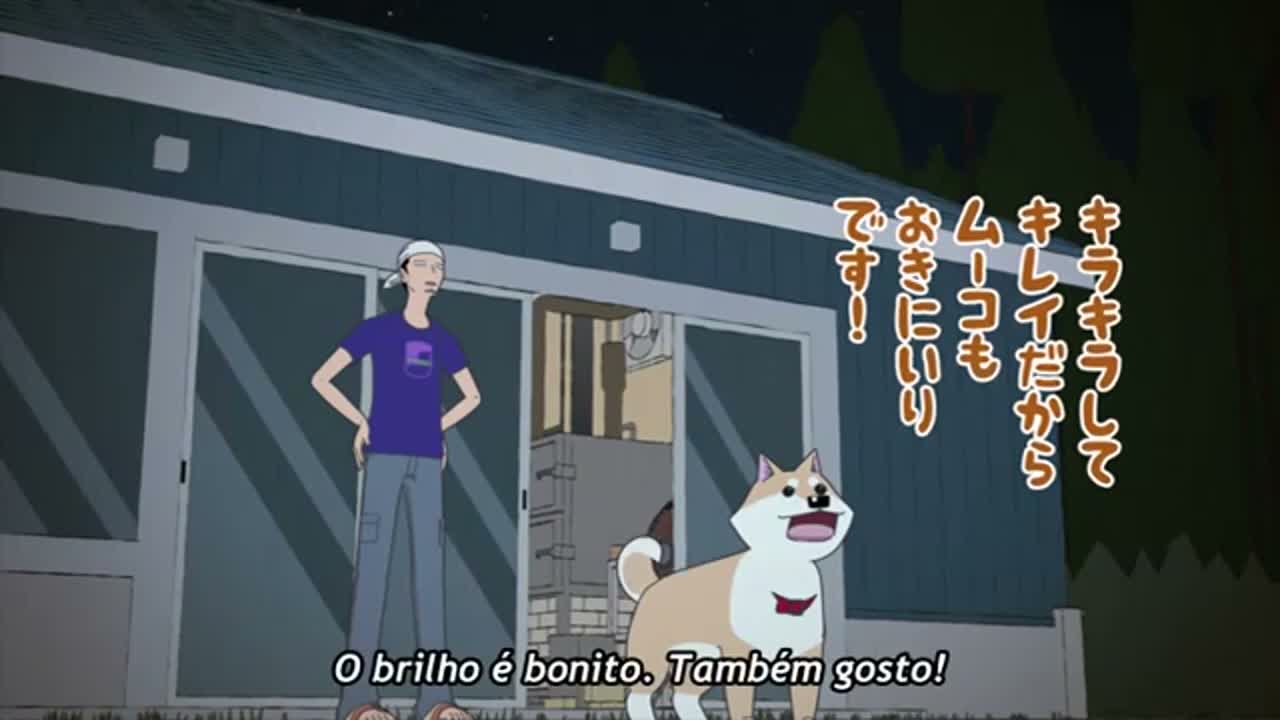 Episódio 006