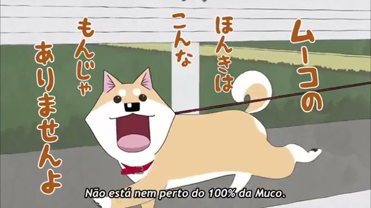 Episódio 004