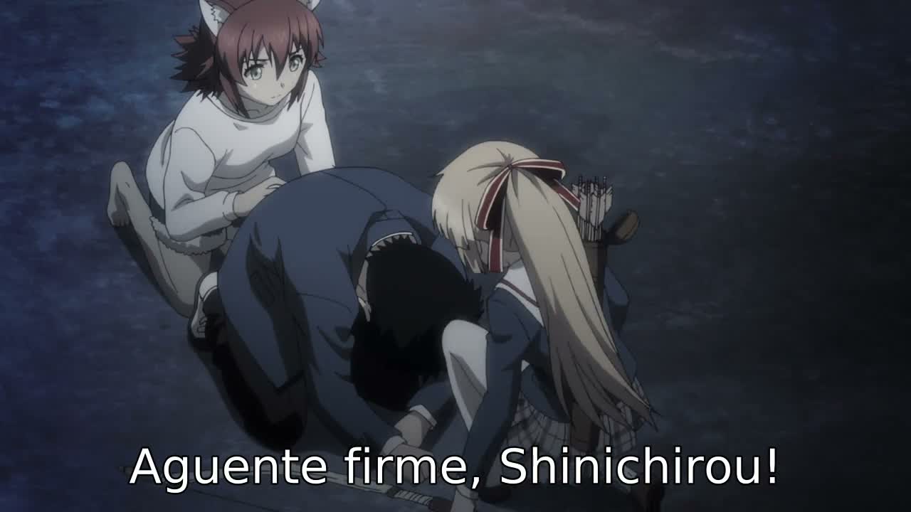 Episódio 009