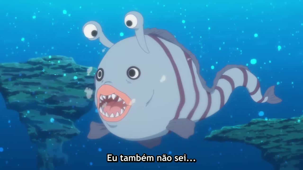 Episódio 007