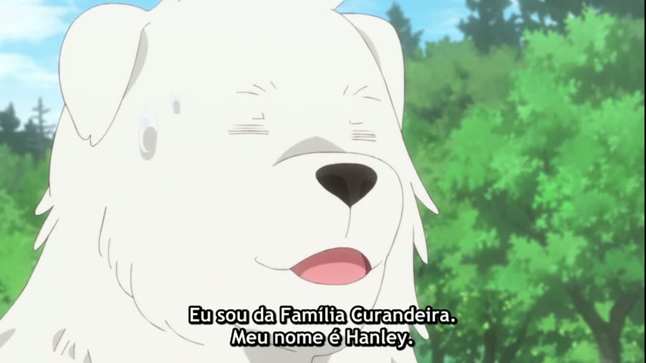 Episódio 010