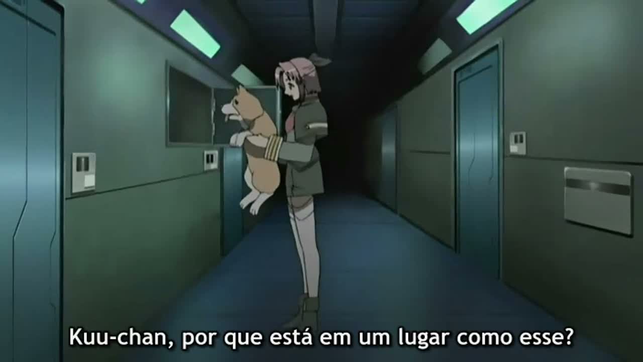Episódio 011