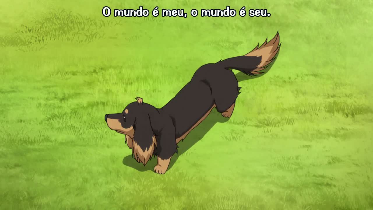 Episódio 011