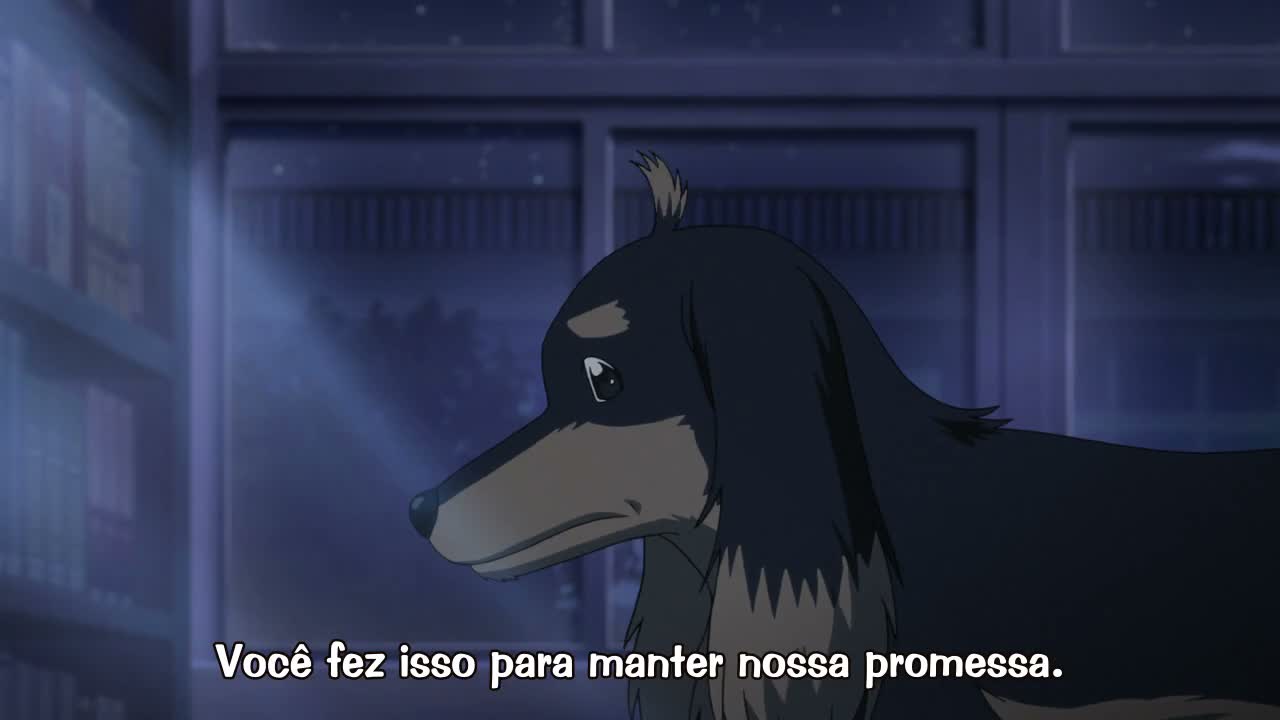 Episódio 010