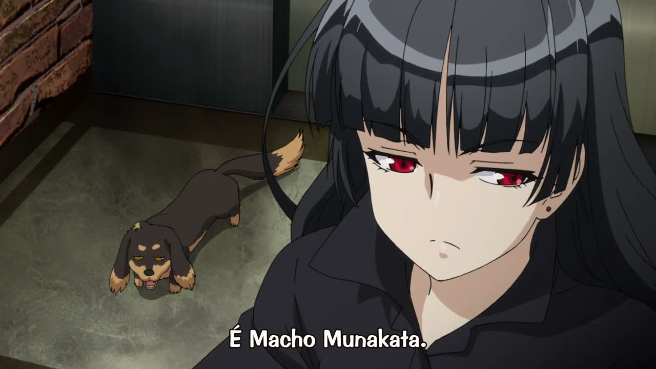 Episódio 007
