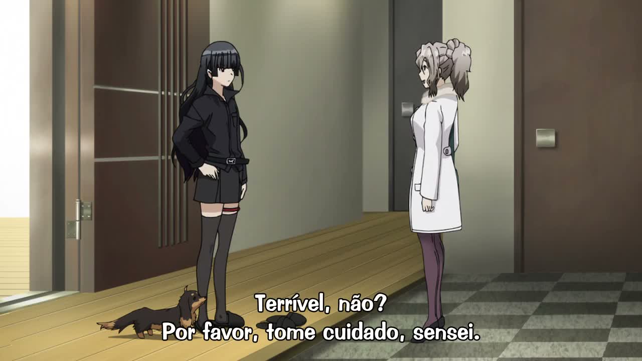 Episódio 003
