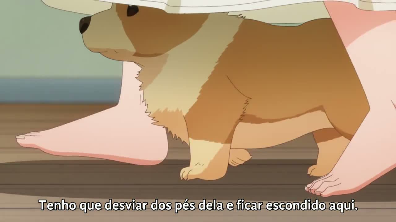 Episódio 005