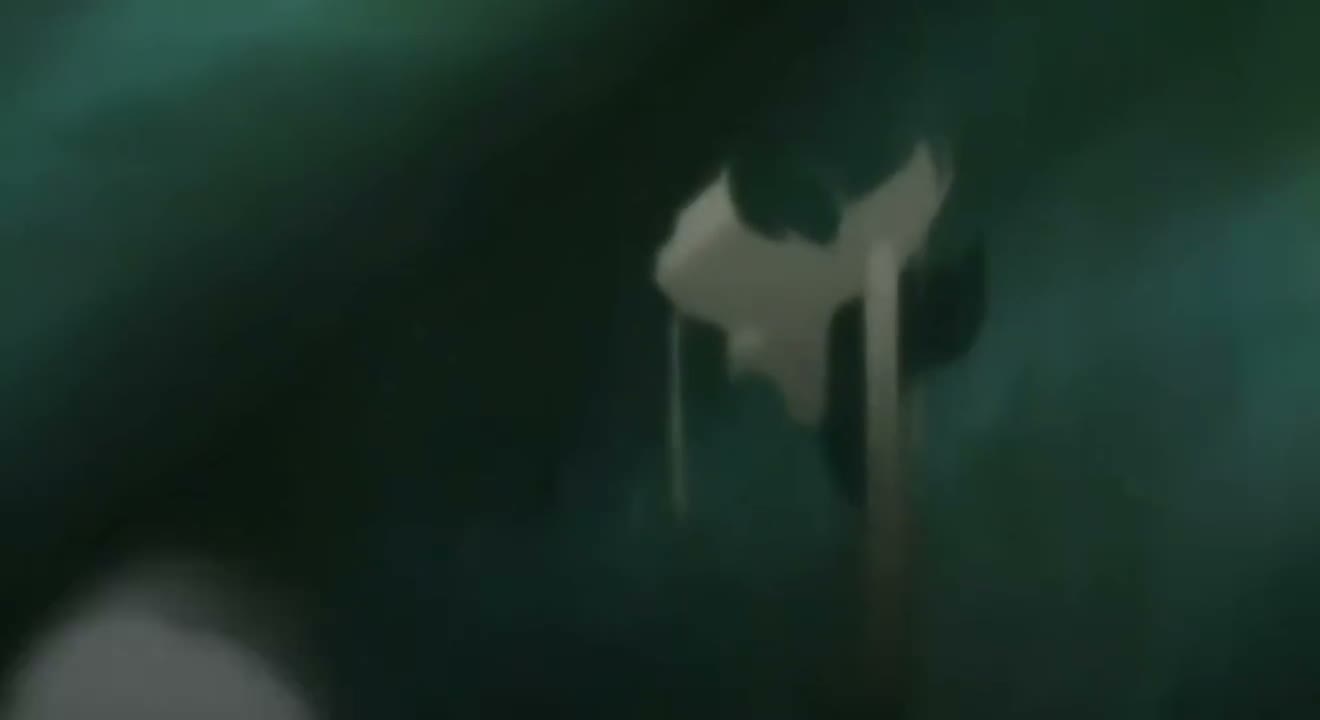 Episódio 020