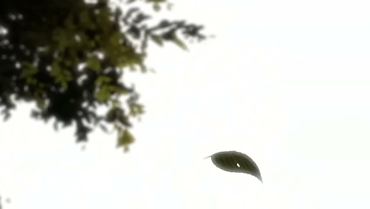 Episódio 001