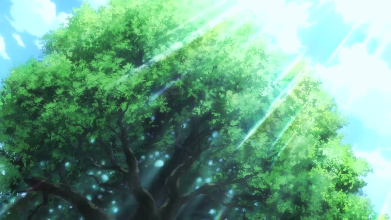 Episódio 006