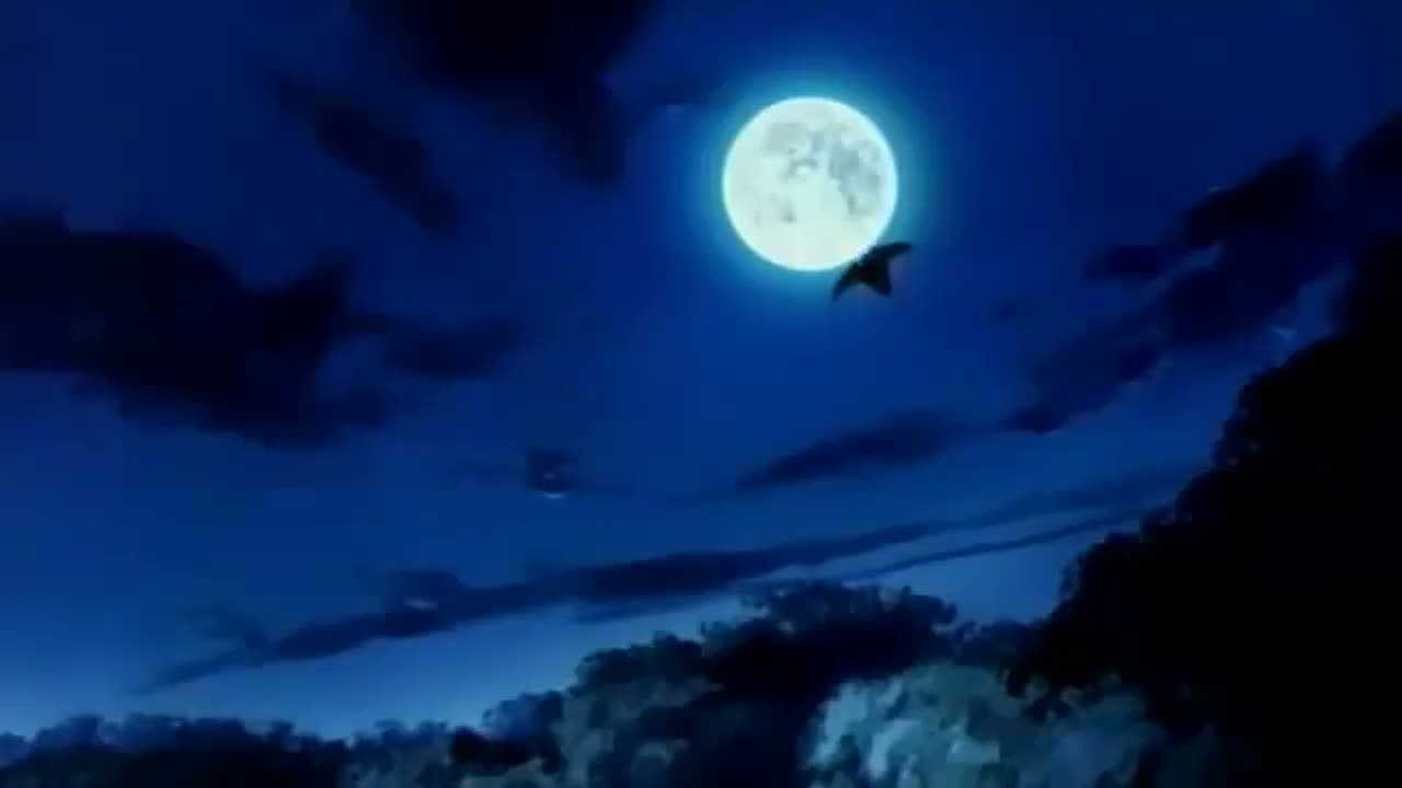 Episódio 003