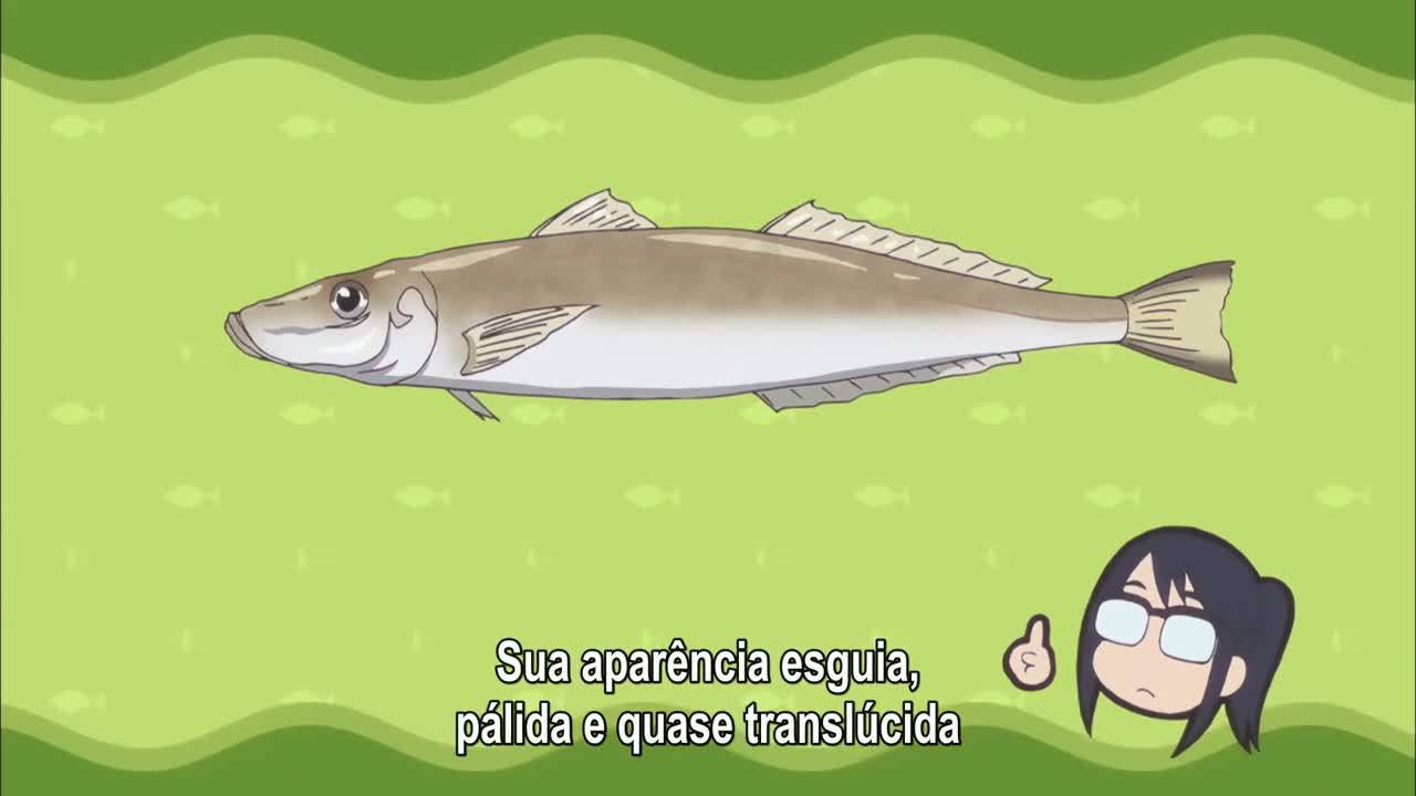Episódio 011