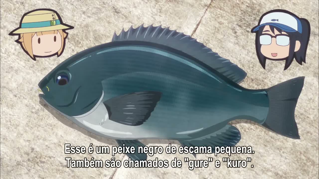 Episódio 010