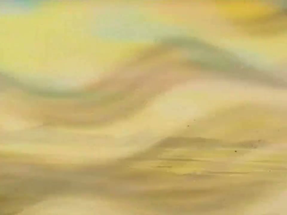 Episódio 019