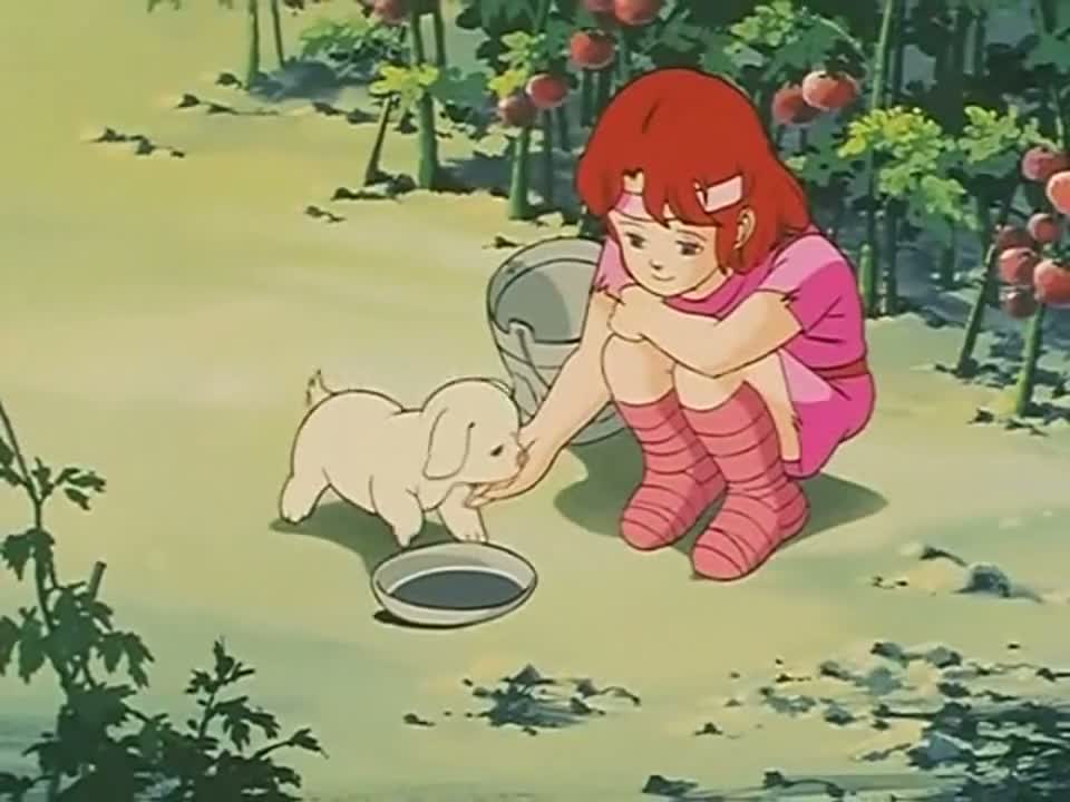 Episódio 001