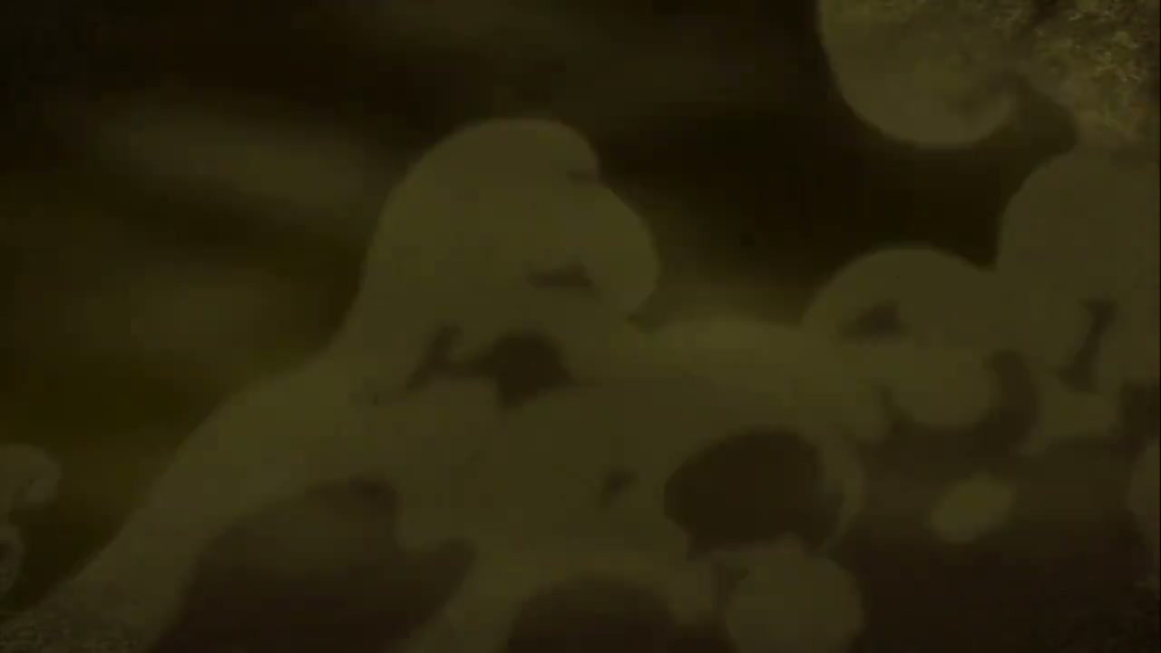 Episódio 024