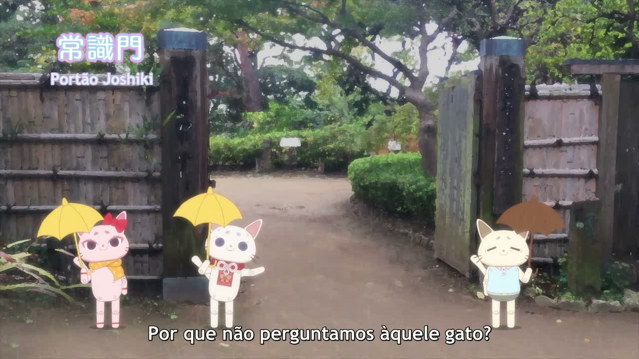 Episódio 006