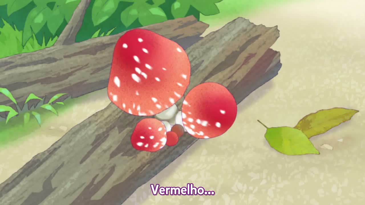 Episódio 041