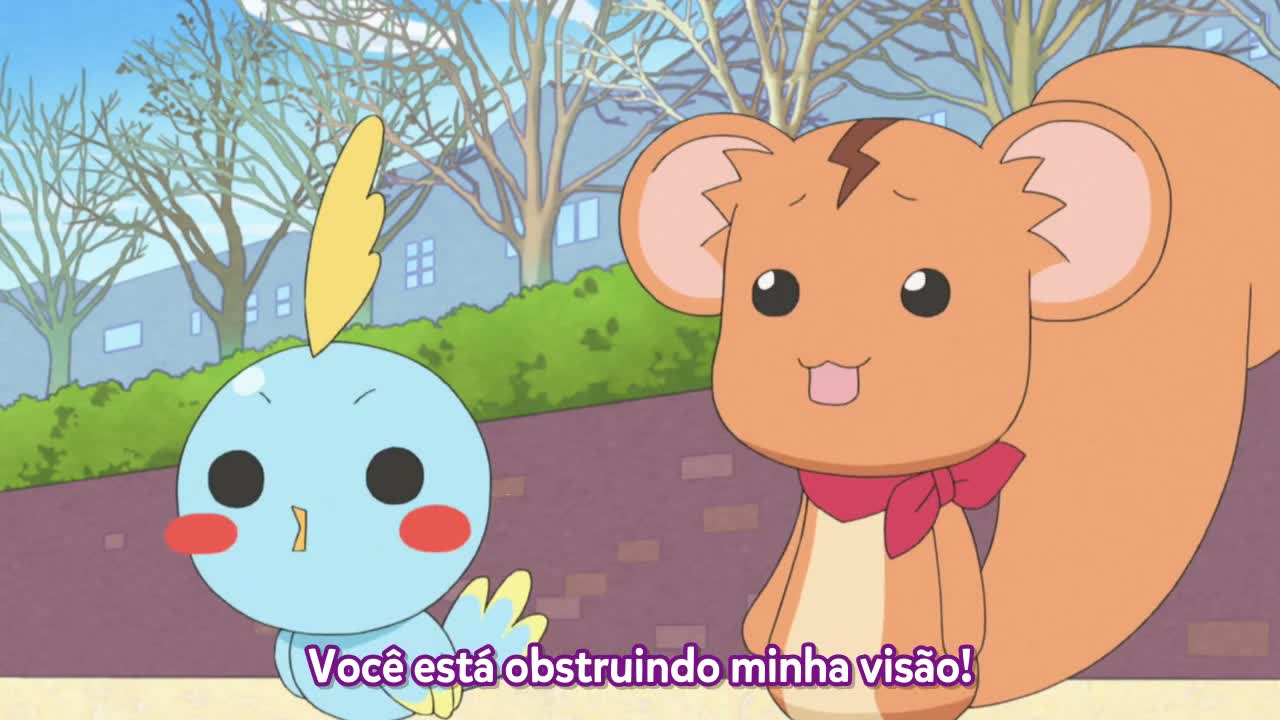 Episódio 037