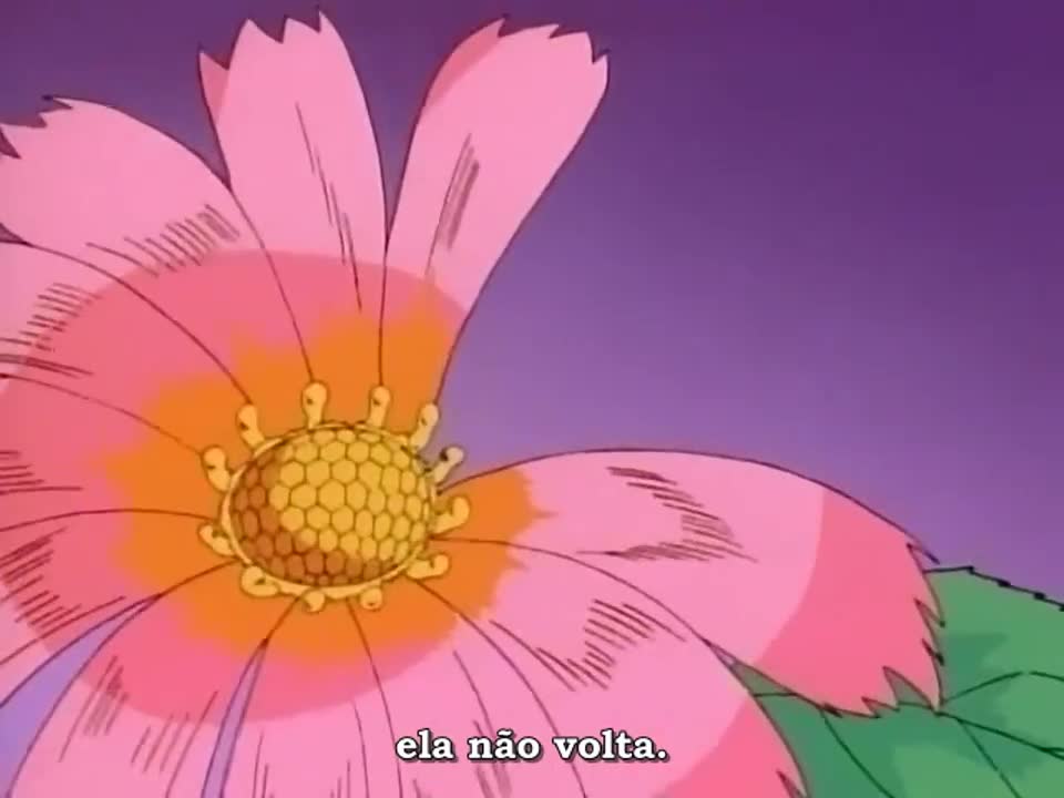 Episódio 017
