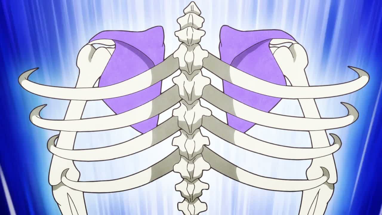 Episódio 008