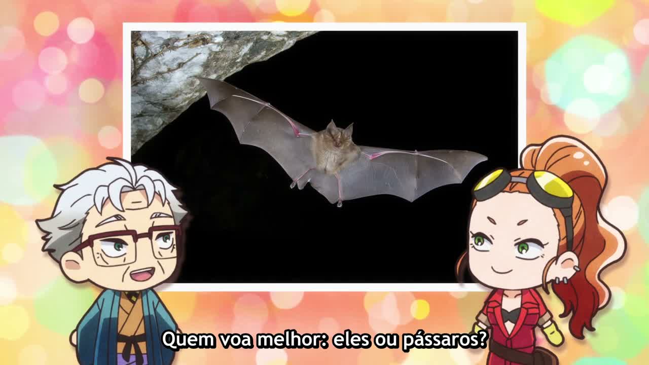 Episódio 004
