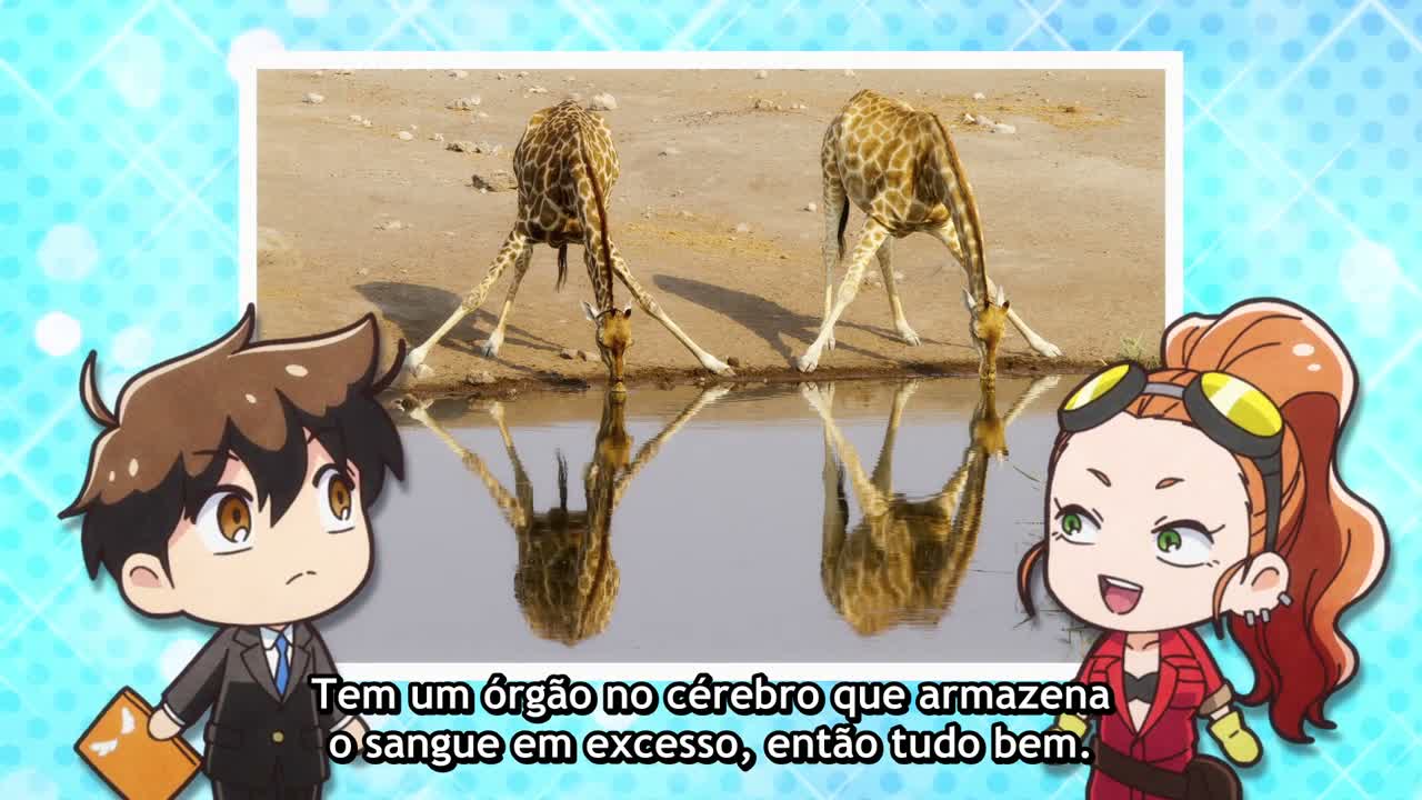 Episódio 001