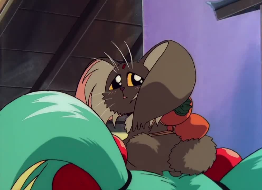 Episódio 003