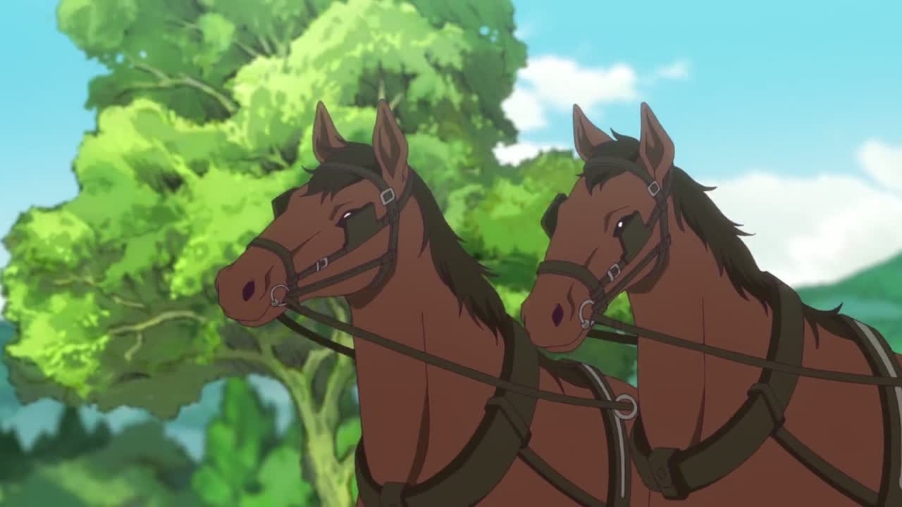 Episódio 005