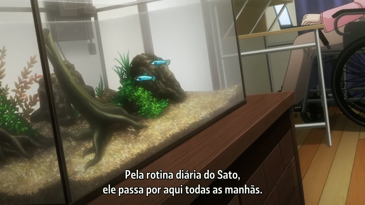Episódio 022