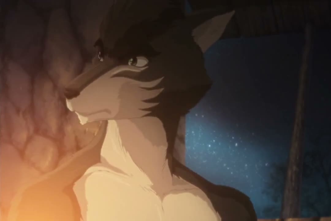 Episódio 008