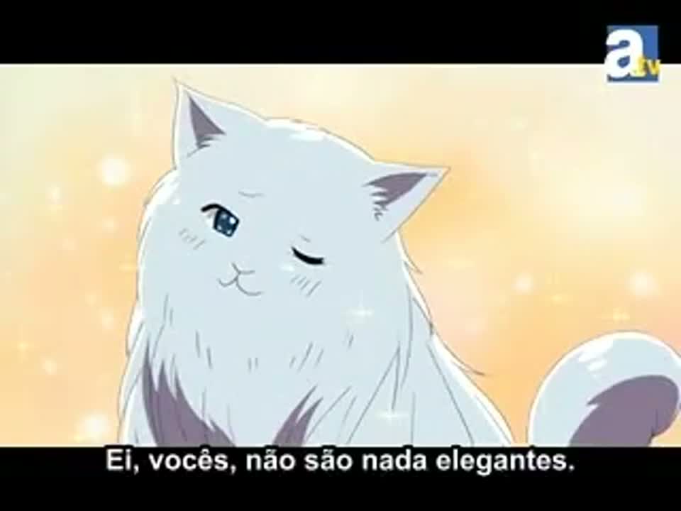 Episódio 003
