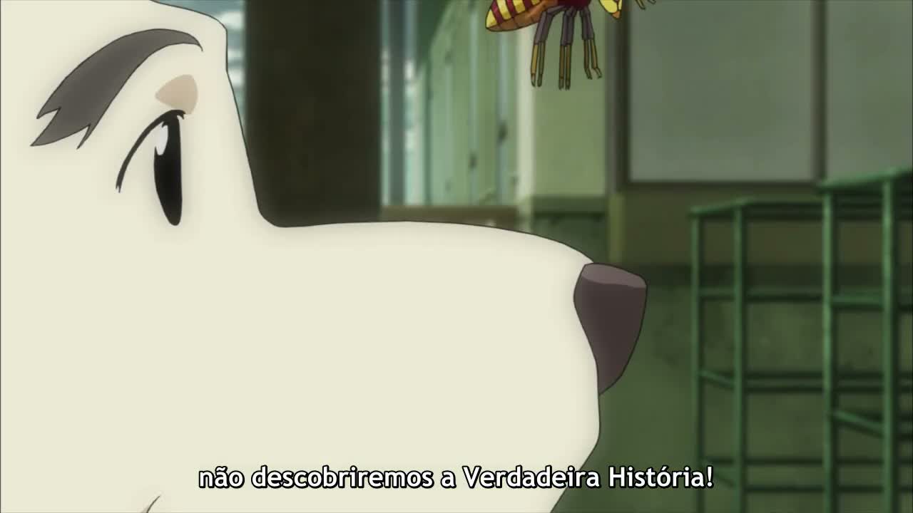 Episódio 006