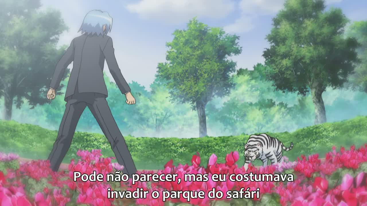 Episódio 003
