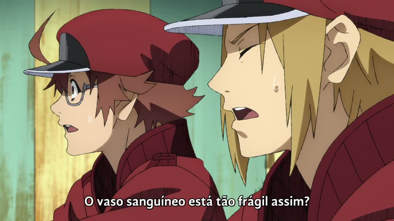 Episódio 008