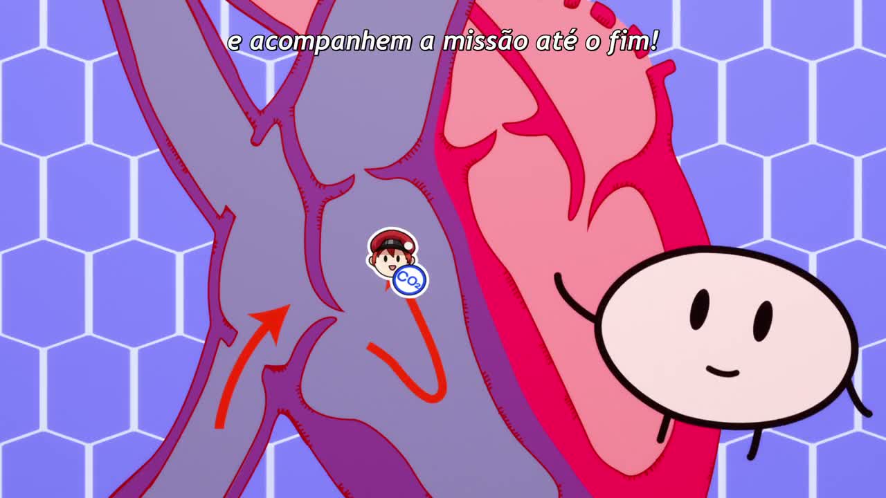 Episódio 008